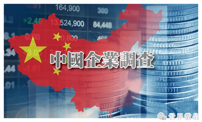 中國企業調查