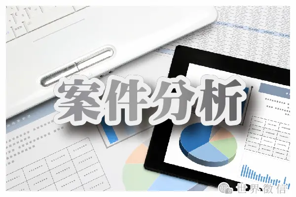 案件分析