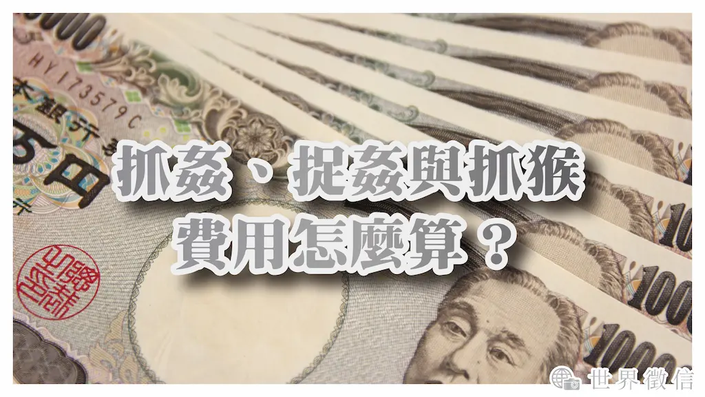 抓姦、捉姦與抓猴費用怎麼算？